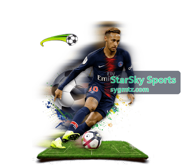 StarSky Sports 团建活动方案在室内综合馆进行团队竞技项目
