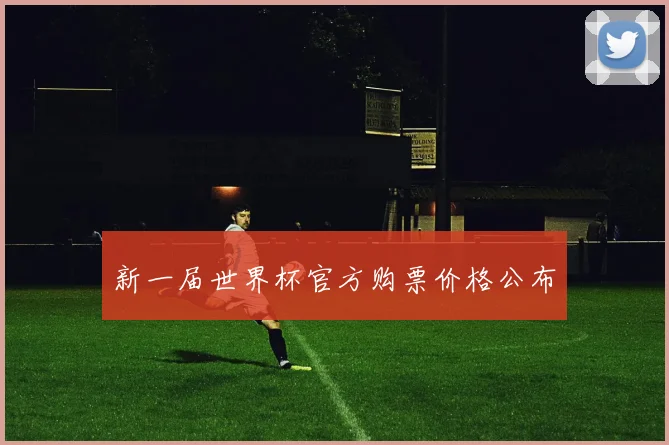 新一届世界杯官方购票价格公布